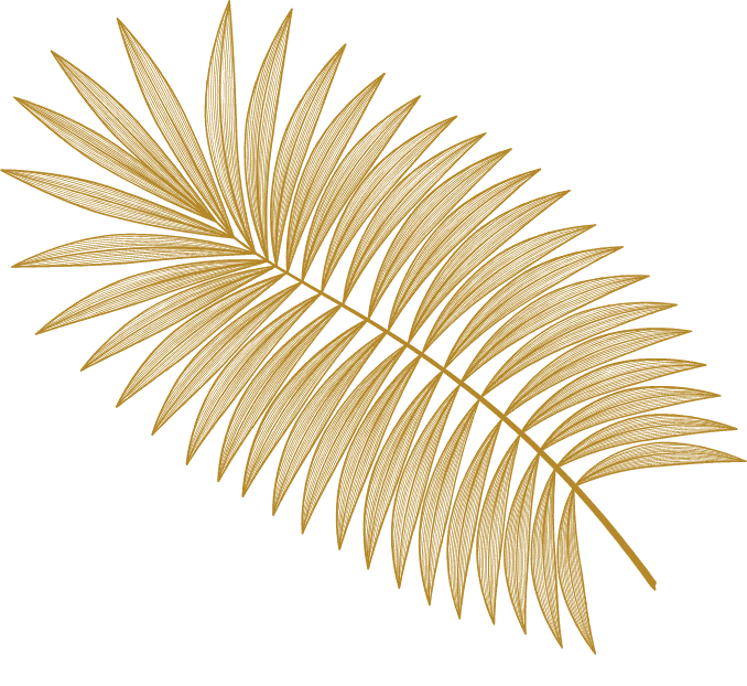 Motorised Curtains Newcastle - Somerset Curtains & Blinds Newcastle